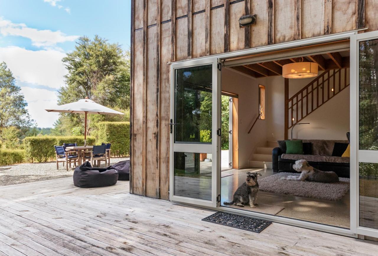 Beech Hill - Pet Friendly Holiday Home Tasman Esterno foto