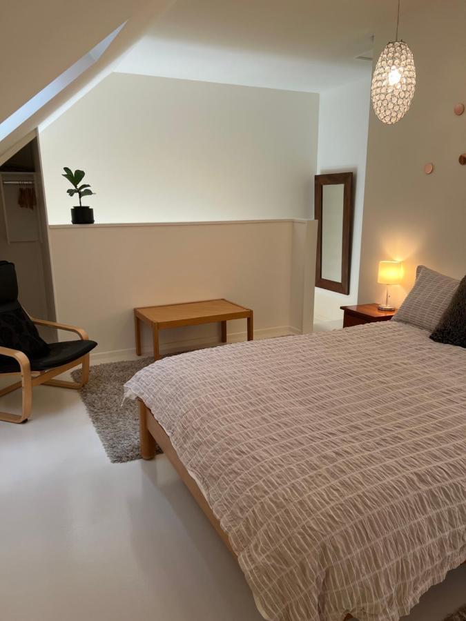 Beech Hill - Pet Friendly Holiday Home Tasman Esterno foto