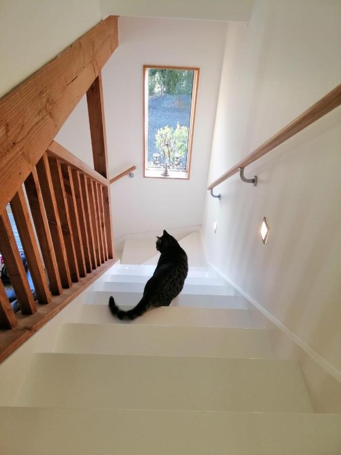 Beech Hill - Pet Friendly Holiday Home Tasman Esterno foto