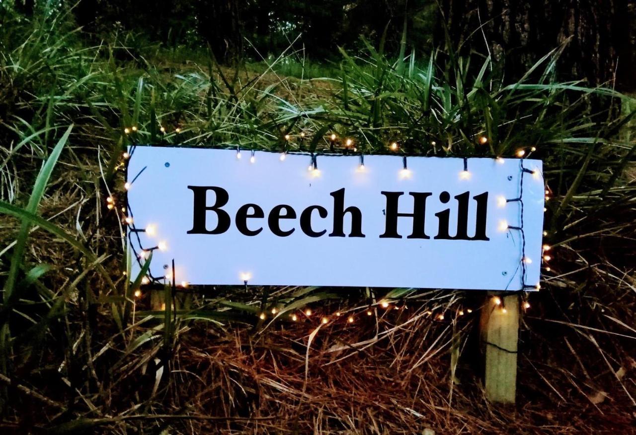 Beech Hill - Pet Friendly Holiday Home Tasman Esterno foto
