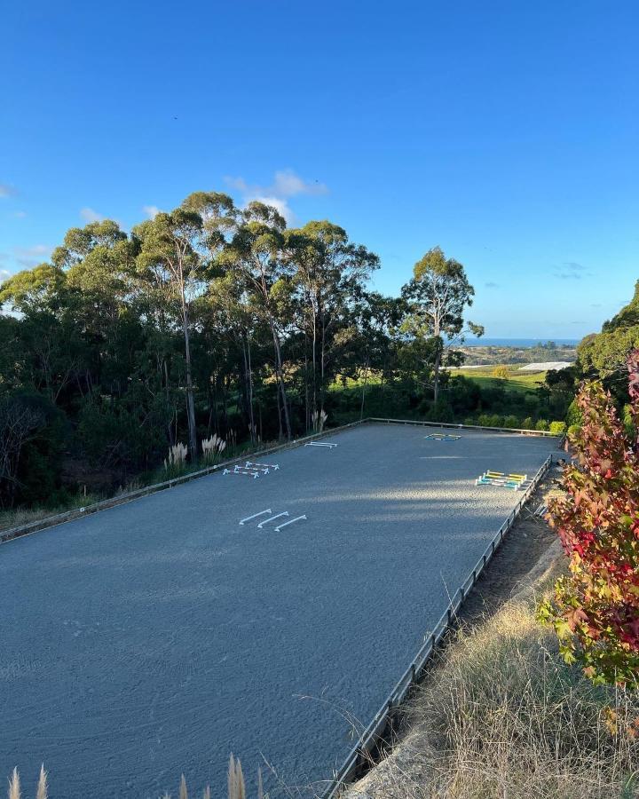 Beech Hill - Pet Friendly Holiday Home Tasman Esterno foto