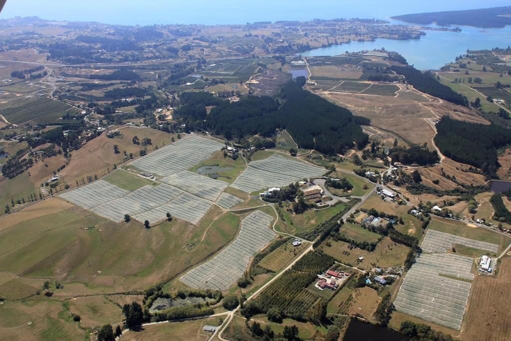 Beech Hill - Pet Friendly Holiday Home Tasman Esterno foto