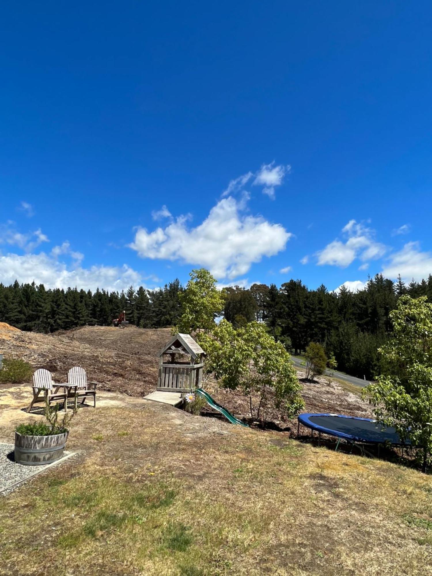 Beech Hill - Pet Friendly Holiday Home Tasman Esterno foto